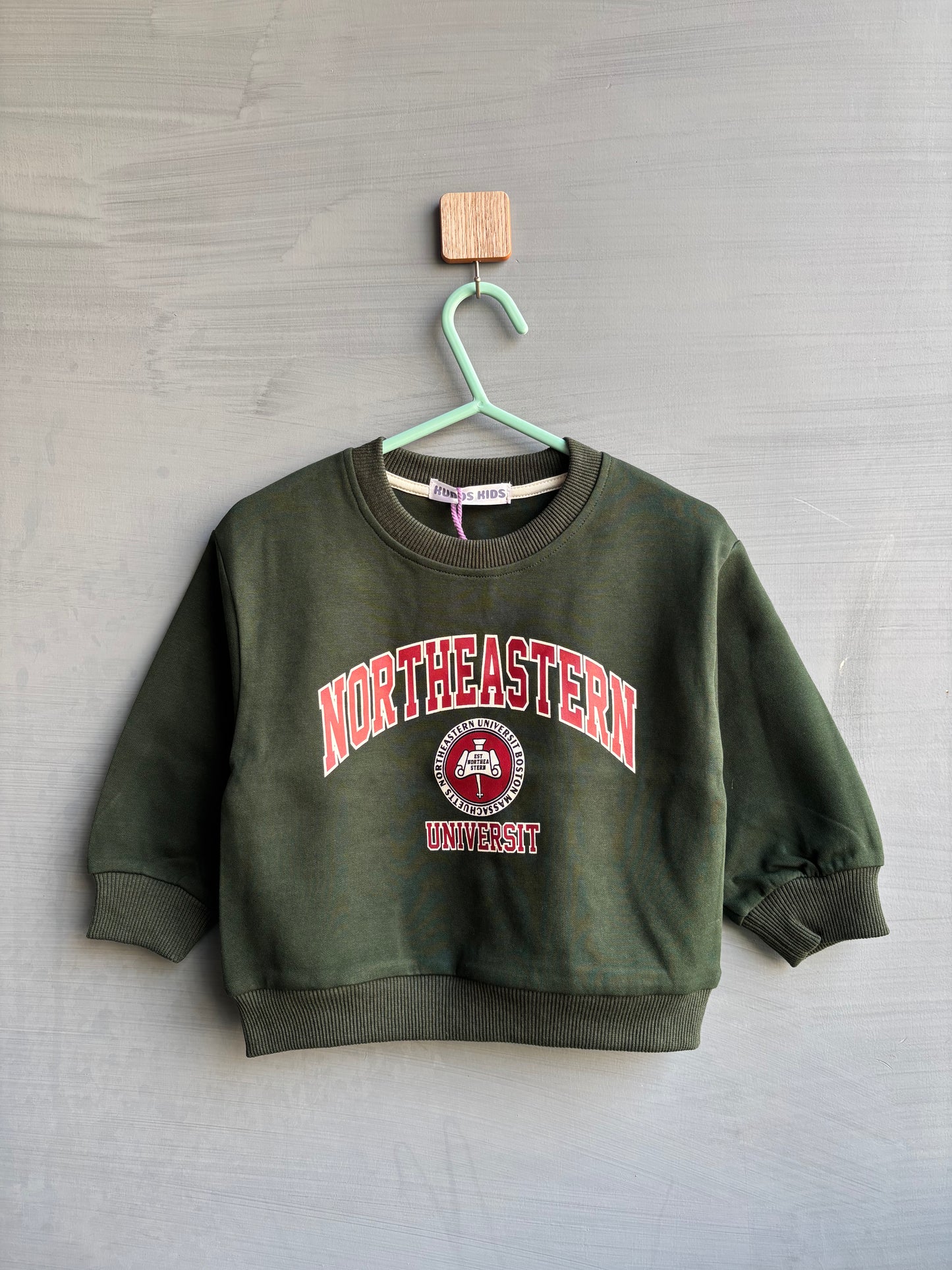 NORTHEASTERN POLLOVER #201