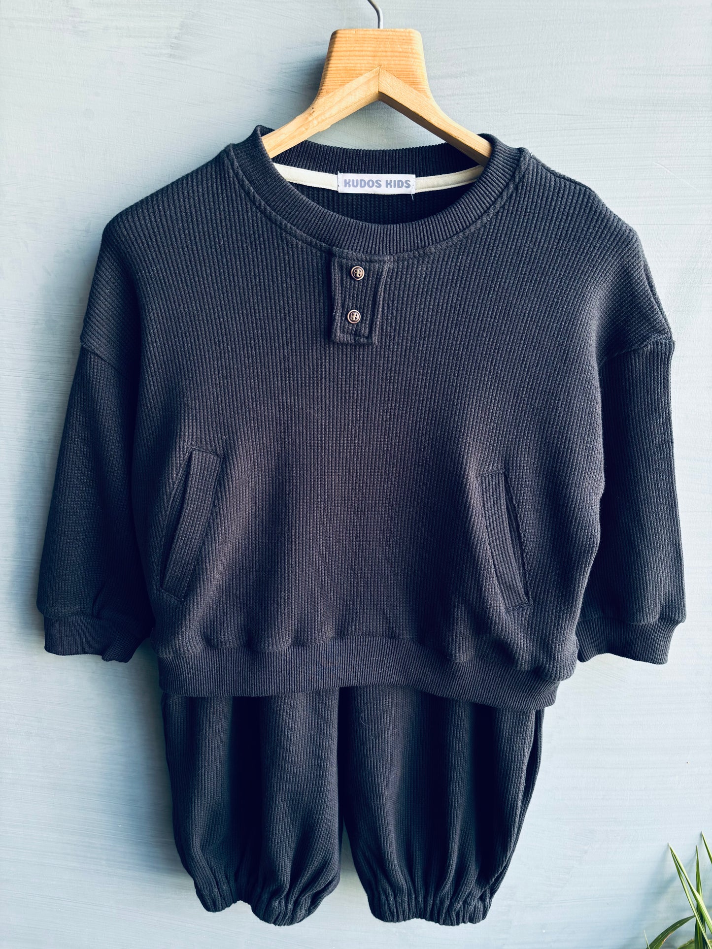 SOLIDS LOOSE SET OLIVE #182