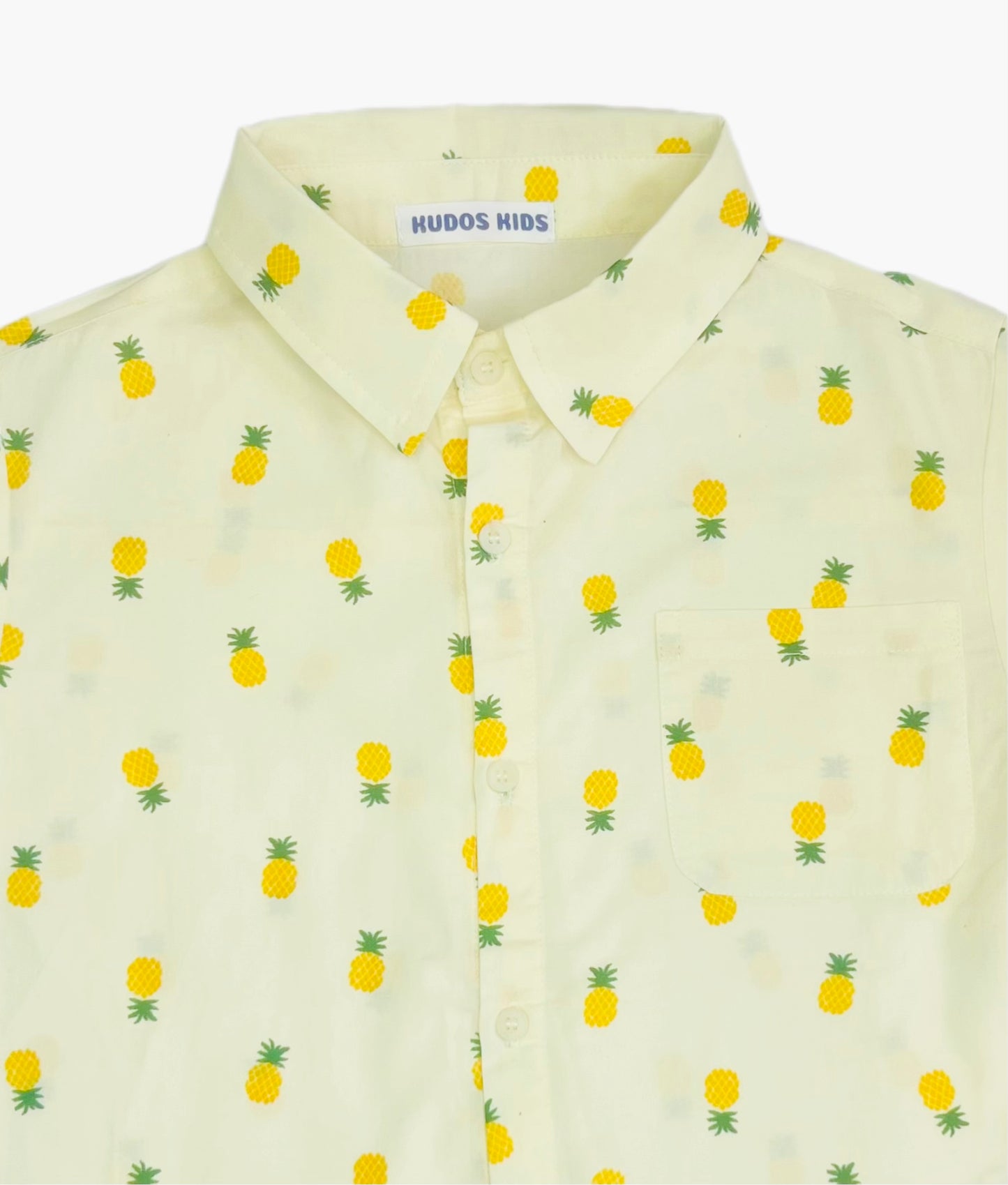 PINEAPPLE PRINT T SHIRT #160