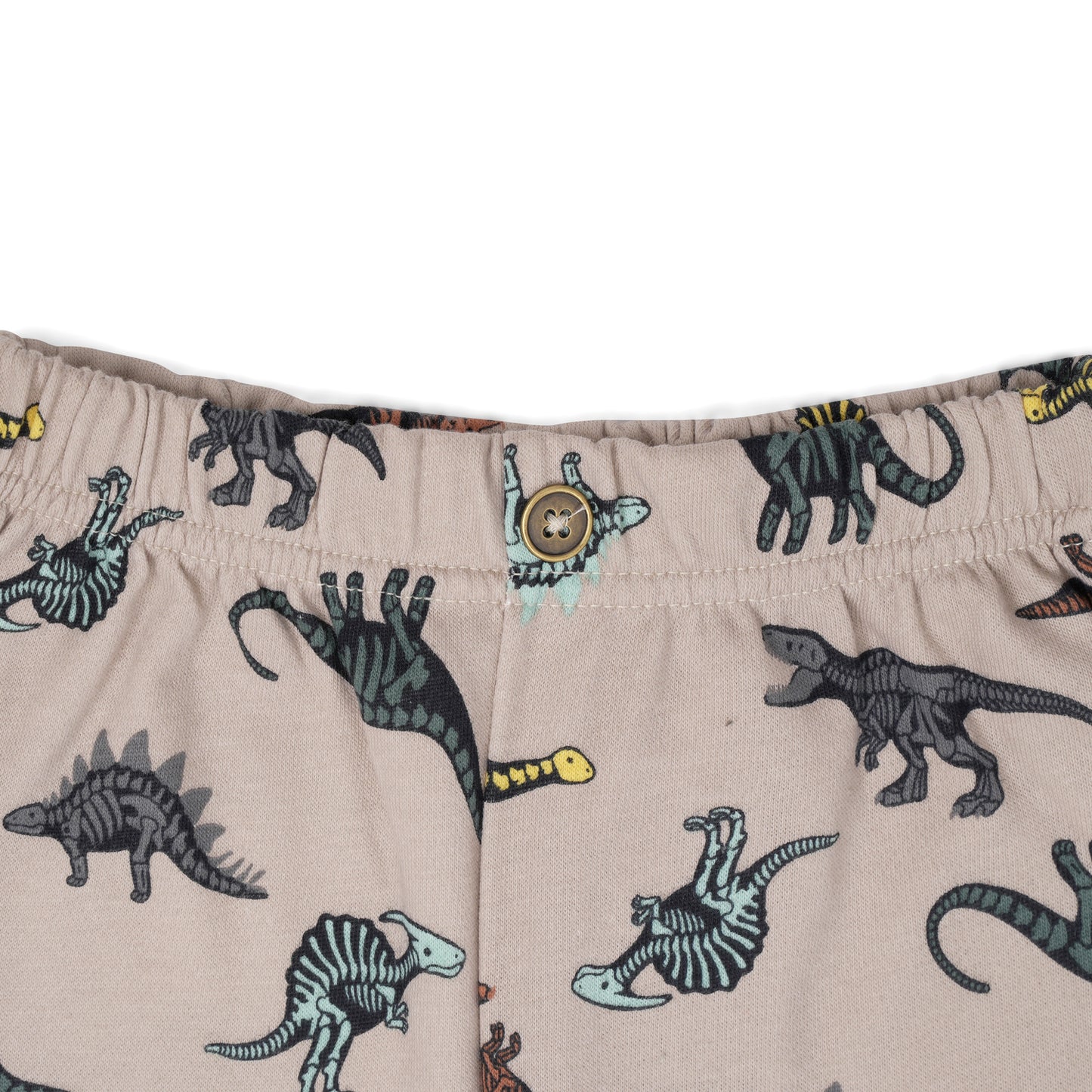 Dinosaur Print Long Shorts