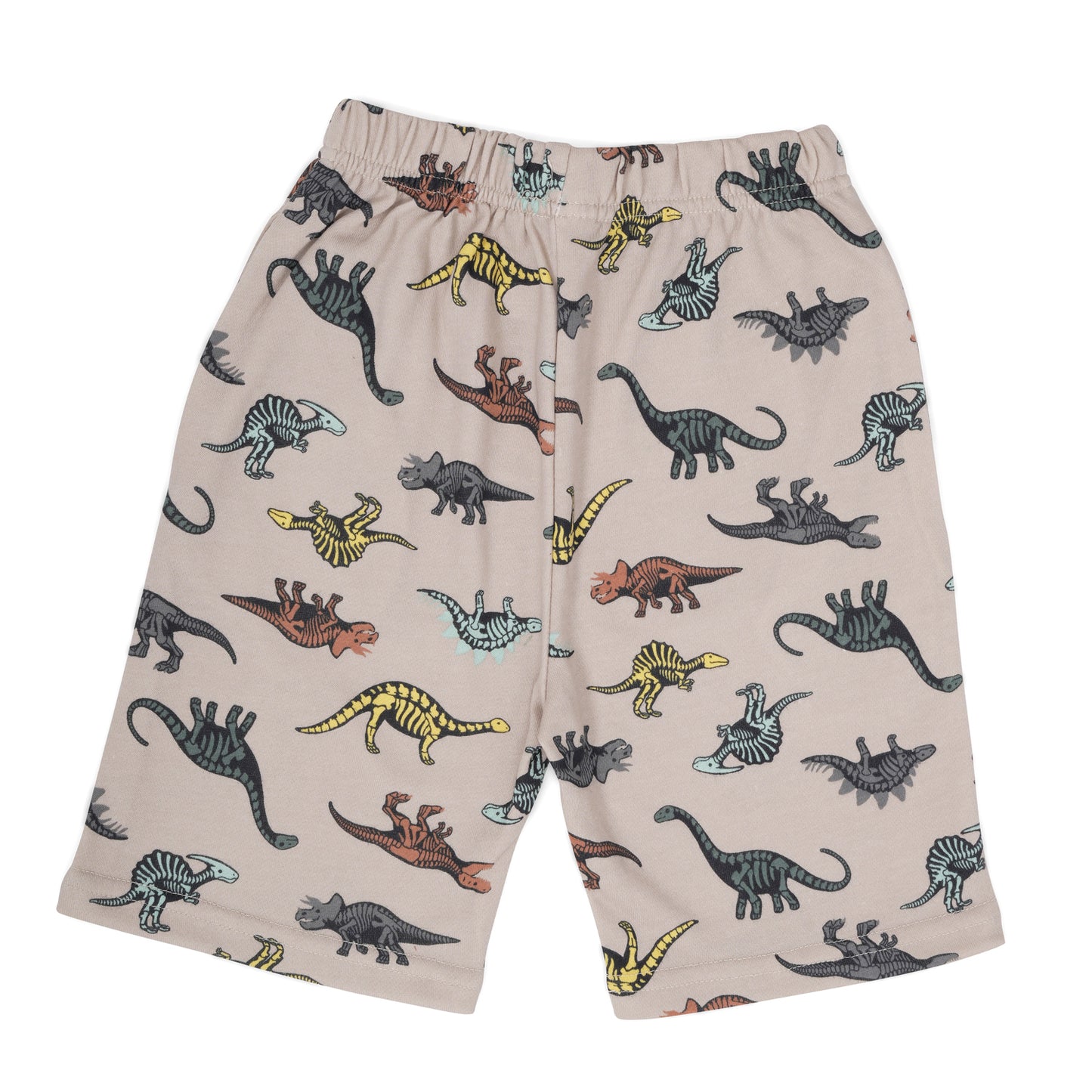 Dinosaur Print Long Shorts