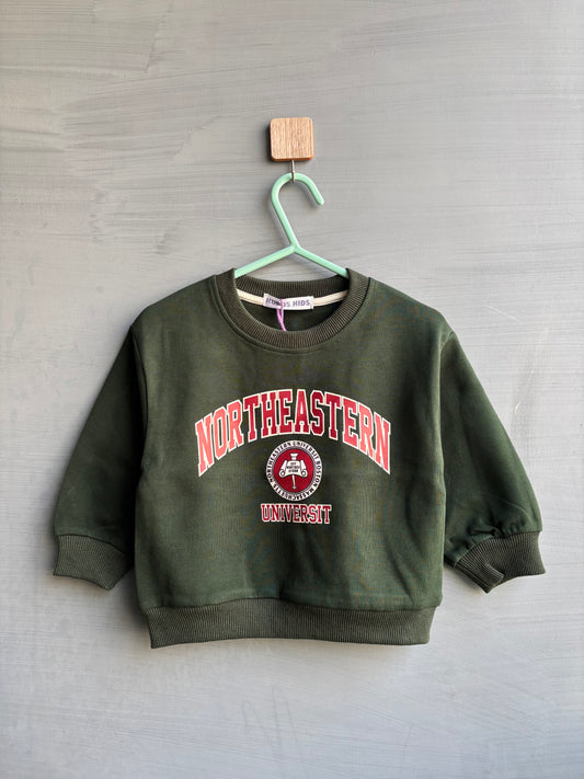NORTHEASTERN POLLOVER #201