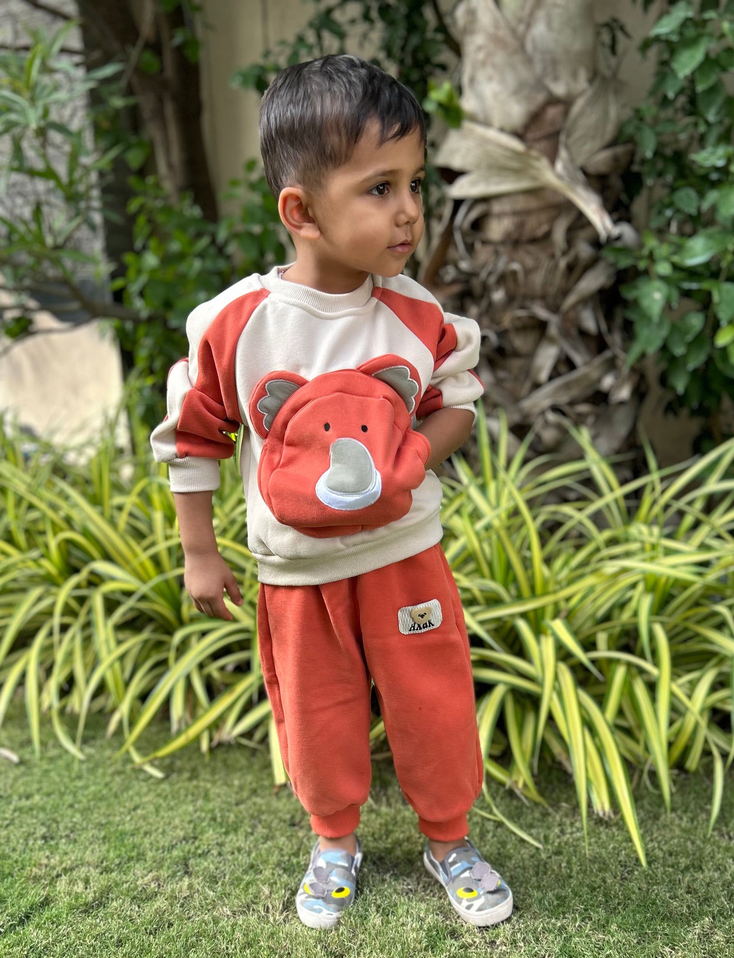 BEAR PULLOVER JOGGER COORD SET