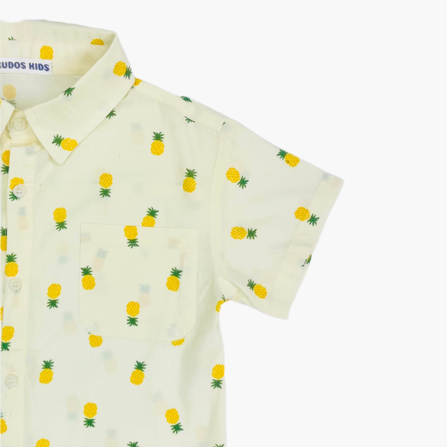PINEAPPLE PRINT T SHIRT #160